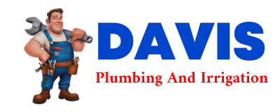 Trusted plumber in DRIVER